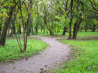 Fototapeta na wymiar Footpath or pathway in Youth park, Bucharest. Nature trail in the forest.