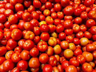 tomatoes