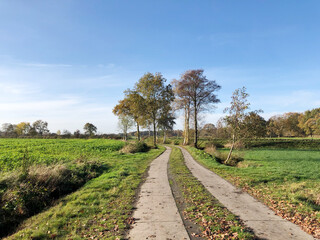 Fototapeta na wymiar hike on a lonely path in a rural landscape in autumn