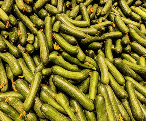 Green cucumber in the market