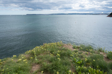 Torquay, English Riviera