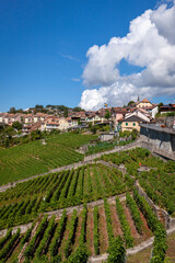Panorama sur le vignoble du Lavaux et le lac L&eacute;man, vignes en terrasses, Suisse