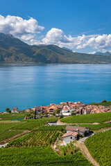 Vue sur le lac Léman depuis le vignoble en terrasses du Lavaux, Suisse