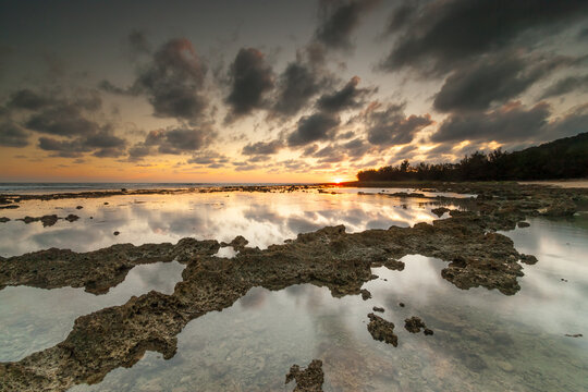 Coral Reefs at Dusk