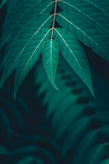 Green leaves. In the midst of foliage. Green background. - 392592586