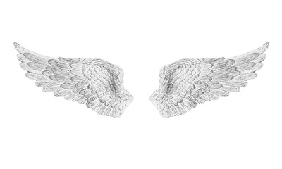 Illustration Angel wings, white wings,Antique wings