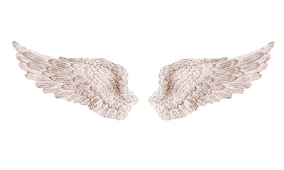  Angel wings, white wings,Antique wings
