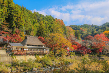 Fototapeta na wymiar Autumn in Japan, November