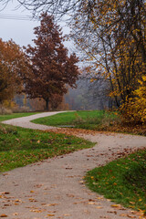 Fototapeta na wymiar nature trails meander in autumn colors