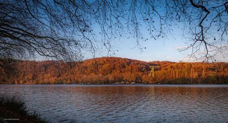 Obraz premium autumn in the park