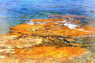 Algae at seabottom colorful painting