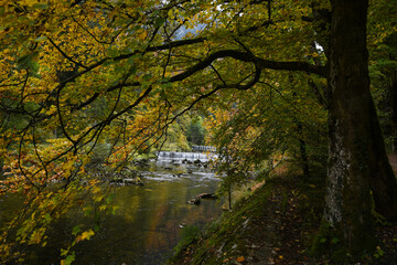 Gorges de l'Areuse 4