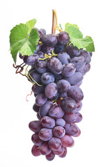 Bunch of grapes on a white background