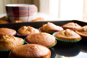 breakfast bowl and cupcakes by the window