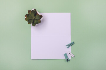 White Paper Brochure with Small Colored Pins and Fake Succulent on Light Green Background Mock up with White Paper Blank Horizontal