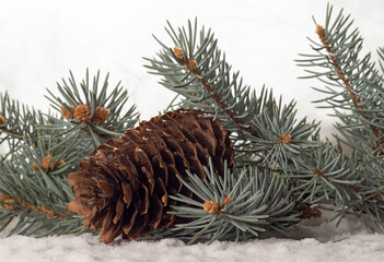 Image of a spruce branch with cones in the snow..Christmas postcard.
