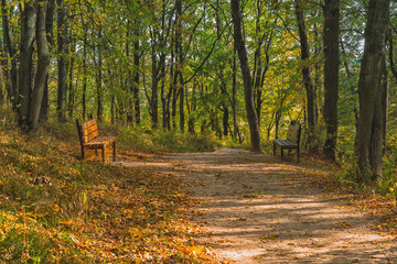 Golden autumn in October and benches in the park.