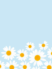 Cute hand drawn daisy flower on blue background vector illustration. 
