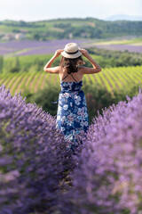 jeune fille au milieu d'un  champ de lavande