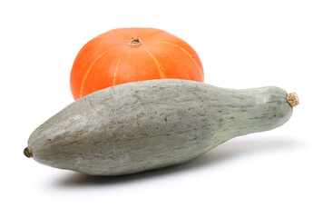 orange Squash on a White Background