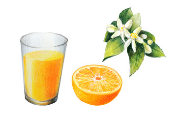 set of orange elements, orange slices, twigs and leaves, flowers and a glass of orange juice