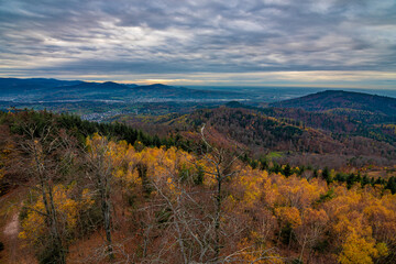Beautiful view of the Black Forest in the National Park in Germany on a beautiful autumnal sunny day