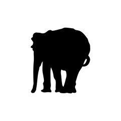 Elephant silhouettes black color on white background. Vector illustration.
