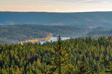 The view down to the Schwarzenbachtalsperre in the Black Forest National Park in Germany on a sunny autumn day