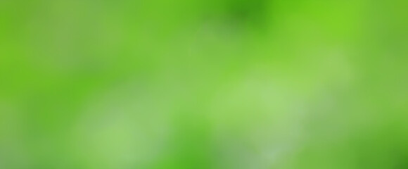 green background, panoramic view long blurred gradient green summer abstract