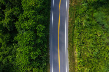 Fototapeta premium Aerial top view of Road through the green forest and texture background as highway of empty