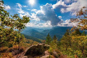 Beautiful view of the Black Forest in the National Park in Germany on a beautiful autumnal sunny day