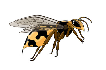 Wasp multicolored cartoon style. Stock vector illustration.