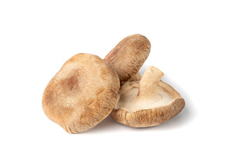 Fresh Shiitake Mushrooms, Raw Shitake, Healthy Organic Asian Fungi