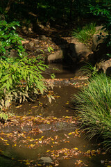 東京都港区南麻布の公園の秋の風景