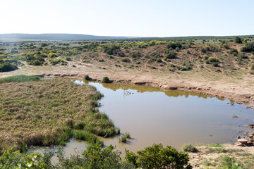 Addo Elephant National Park: view of Domkrag Dam