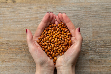 Dried red beans in female hands. In the background a wooden background. Top view.