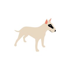 Vector cute bullterrier. Dog breeds. Doodle illustration isolated on white background