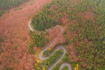 Aerial view of an amazing winding curved road through the mountains in autumn fall colors landscape, motorway in Romania