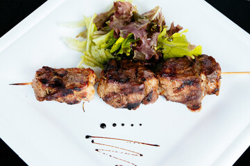 Pig kebab on a stick on a plate with green salad