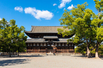 Fototapeta premium 東寺 金堂