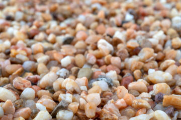 Texture of wet yellow sand beach. Natural background.