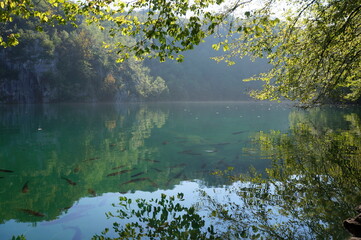 The water surface of Plitvice Lakes, in which fish are reflected