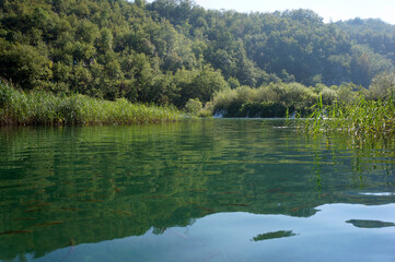 The water surface of Plitvice Lakes, in which fish are reflected