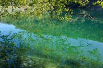 The water surface of Plitvice Lakes, in which fish are reflected