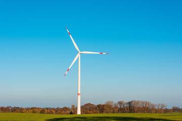Windpark auf einem Feld in Schleswig-Holstein im Herbst vor strahlend blauem Himmel