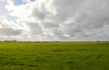 field and blue sky
