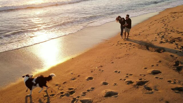 Aerial shot of a happy couple walking and playing with their dog on the beach at sunset.