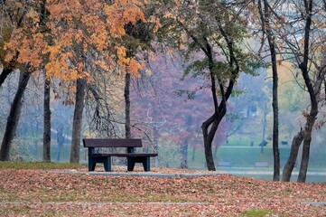 empty bench in IOR park, Bucharest