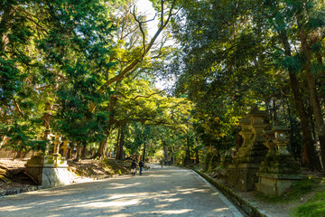春日大社の参道