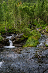 Obraz premium Creek with a mini cascade and trees on the side